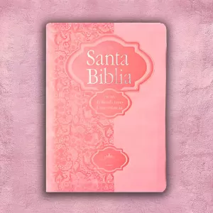BIBLIA DE PROMESA 3
