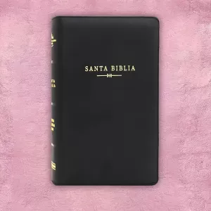 Biblia Holman Negra