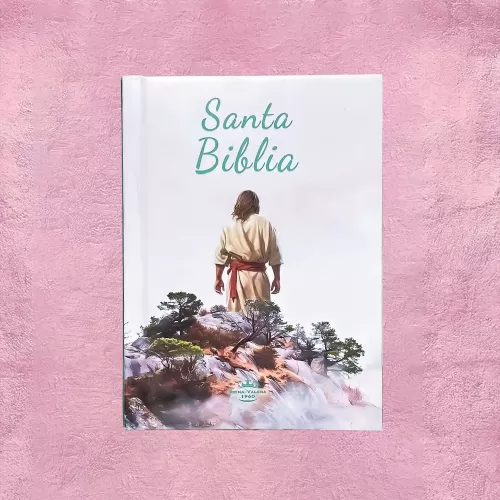 Biblia Niño - Jesús en el monte