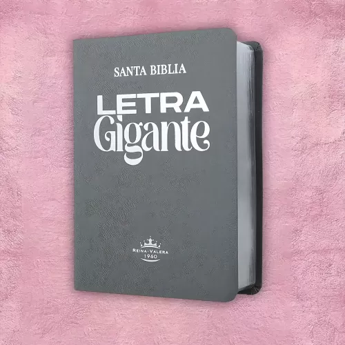 Biblia letra gigante - Gris 