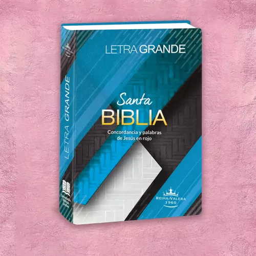 Biblia Economica azul 